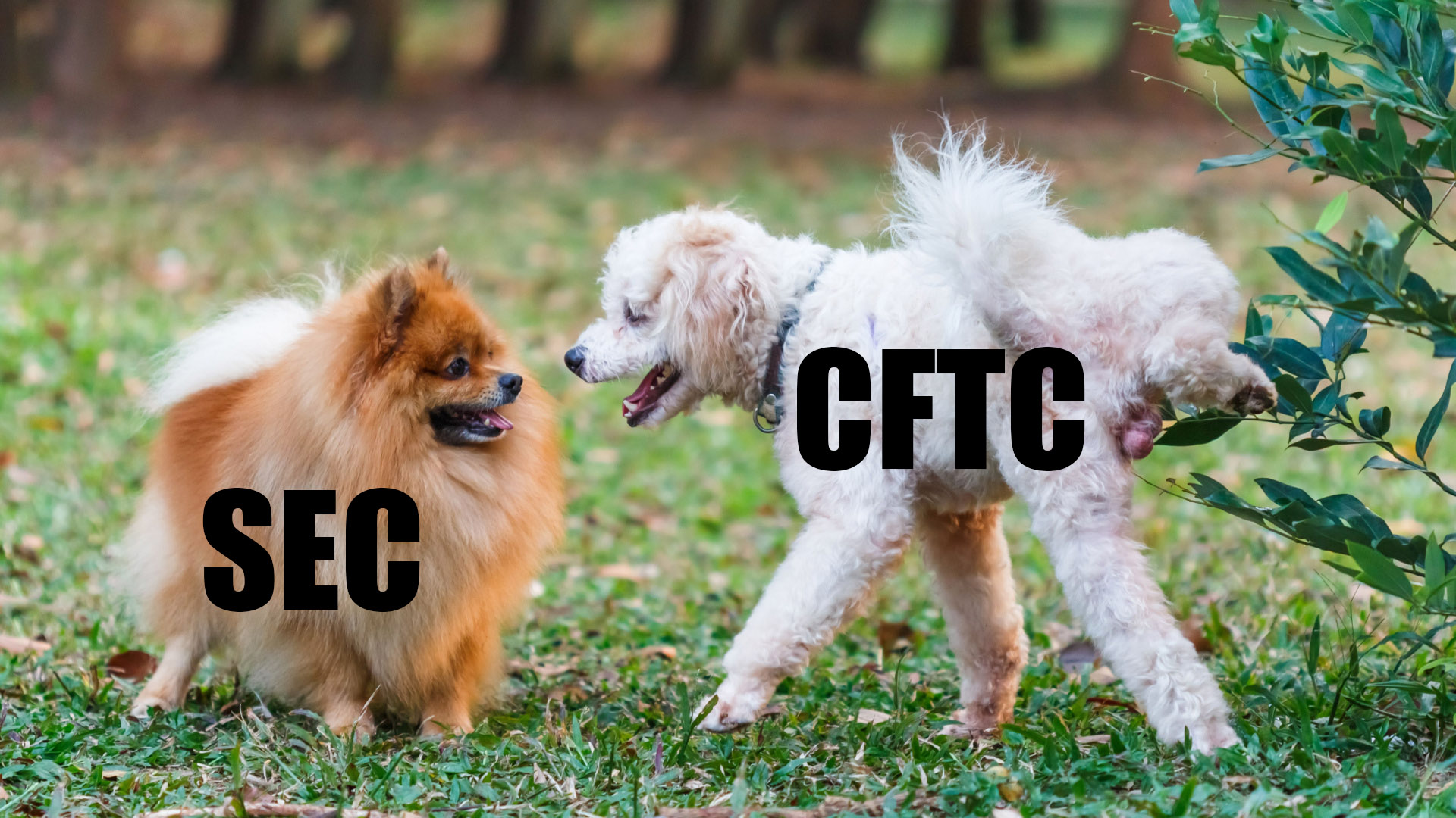 Binance versus CFTC: een echt proces of gewoon een regelgevende oorlog?