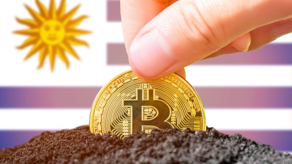 Tether estrae Bitcoin in Uruguay